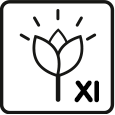 Kvetoucí měsíce: 11 – 12