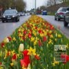 Kits 'Prima Annecy-le-Vieux' © (11142) - Image 2