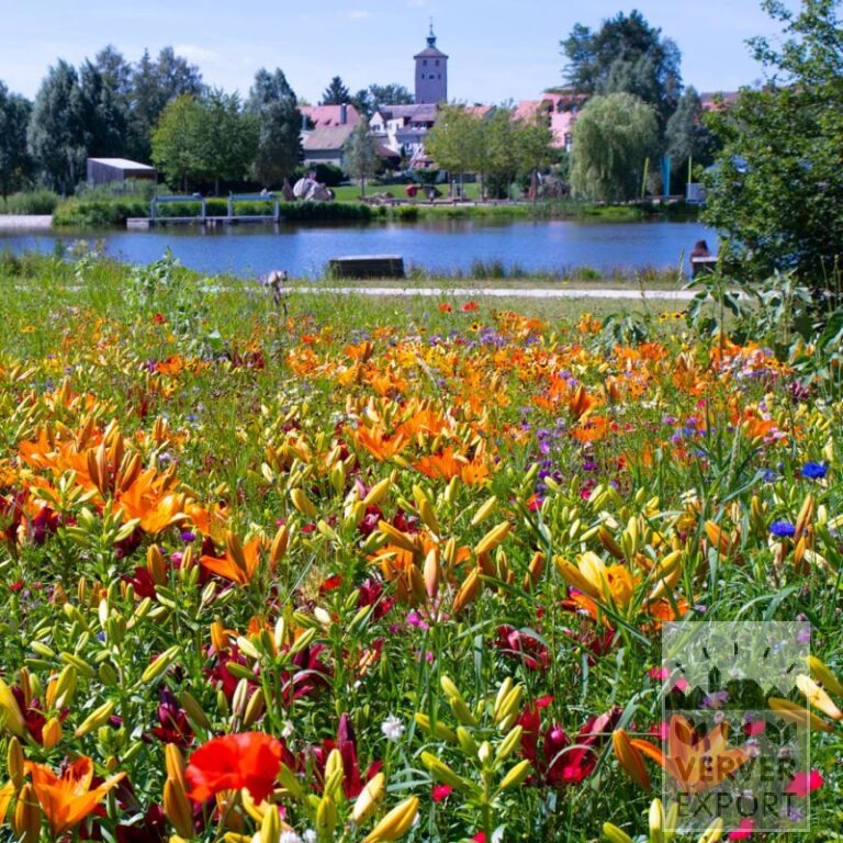 Kits Verver 'Hot Summer' © (21048) - Image 3
