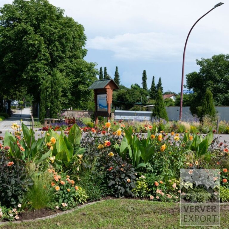 Summer Trams Verver 'Ardeur Festival' © / 5 m² (29308)