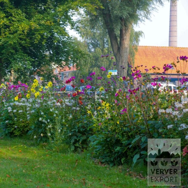 Summer Trams Verver 'Bees & Butterflies' © / 6 m² (29309) - Image 2