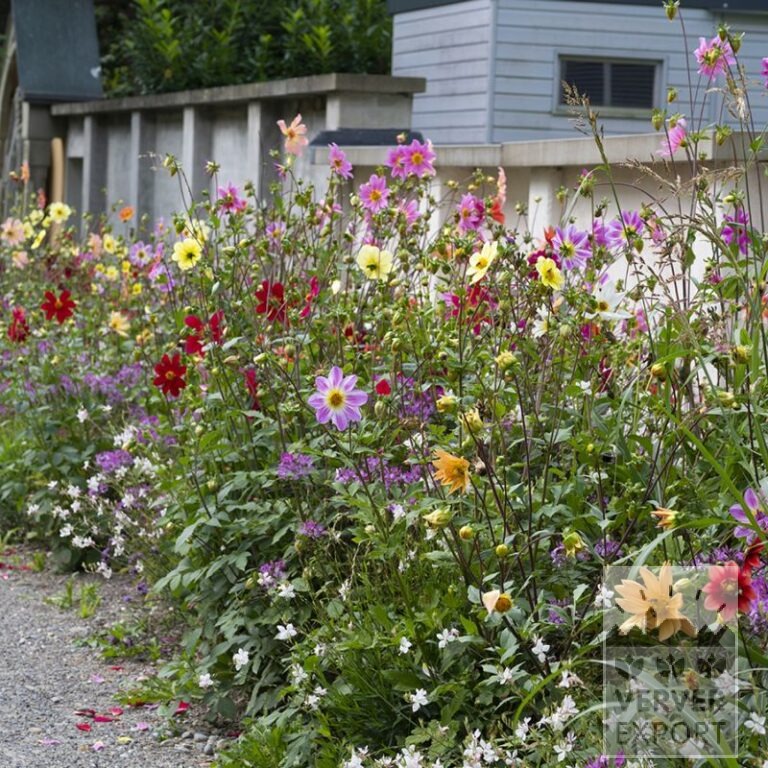 Summer Trams Verver 'Bees & Butterflies' © / 6 m² (29309)