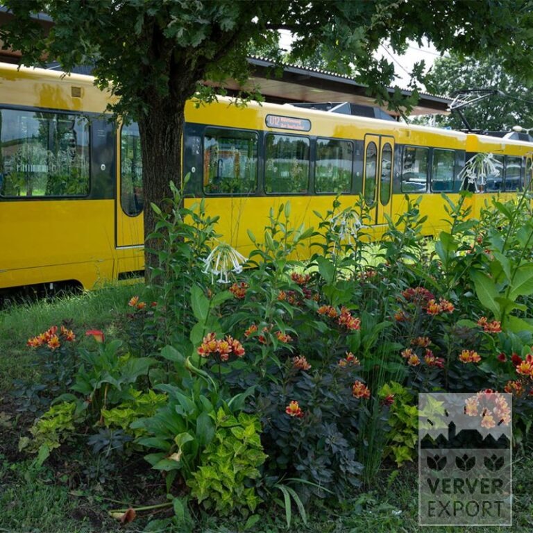 Summer Trams Verver 'Dancer in the Dark' © / 7 m² (29376) - Image 3