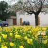 Mixture Verver 'Ville de Toulon' © (11156) - Image 3
