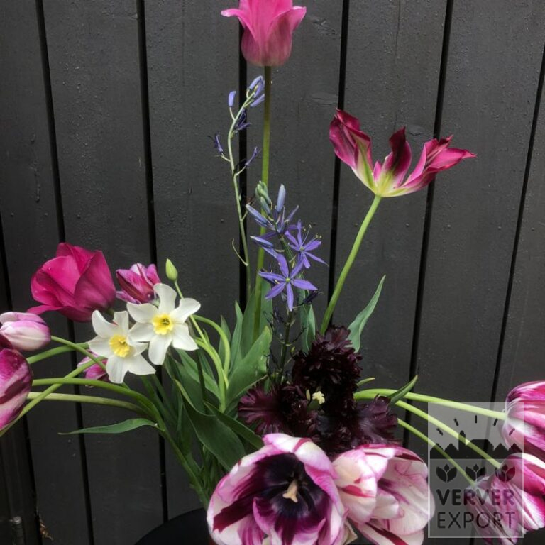 Mixture Verver 'Purple Kiss' © (11744) - Image 2