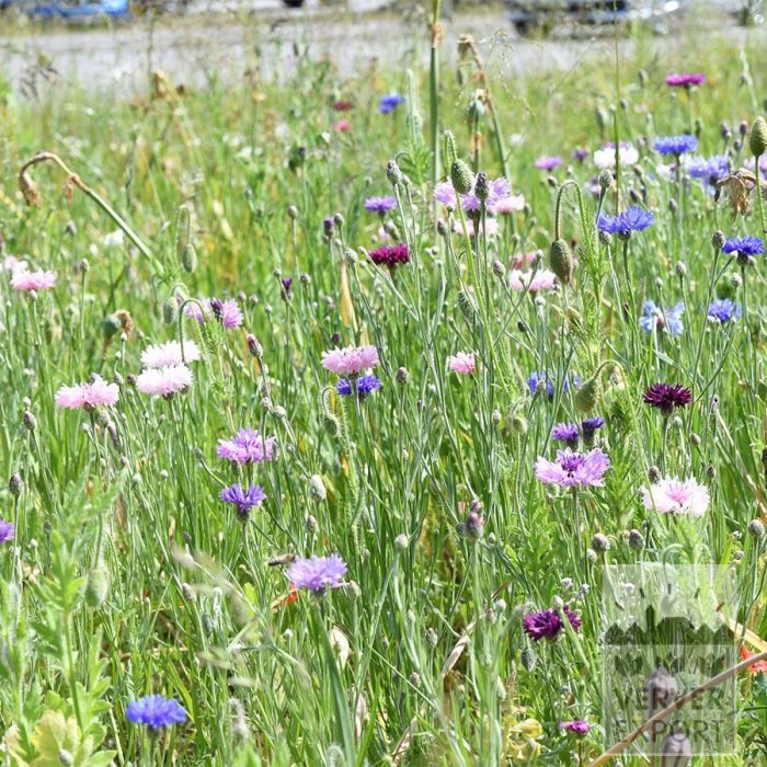 Kits 'Nature Evolution' © (11592) - Image 3