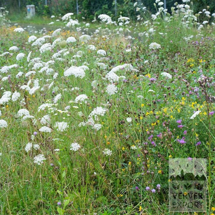 Kits 'Nature Evolution' © (11592) - Image 4